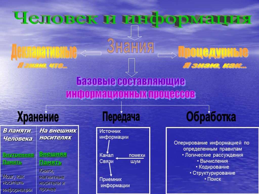 Бумажные vs электронные: какие книги лучше?