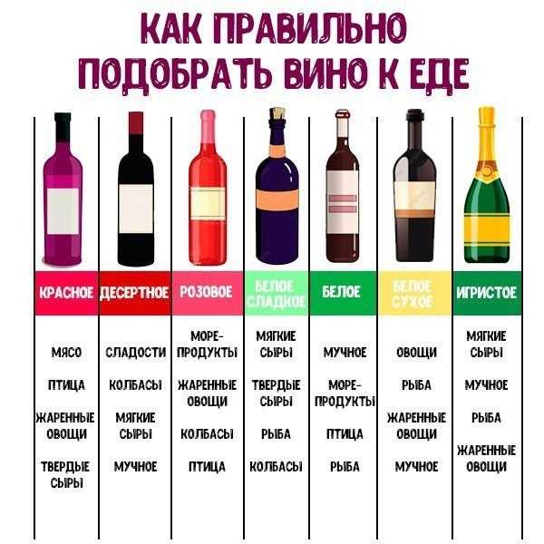 Какое вино лучше всего выбрать в бристоле: рекомендации и советы