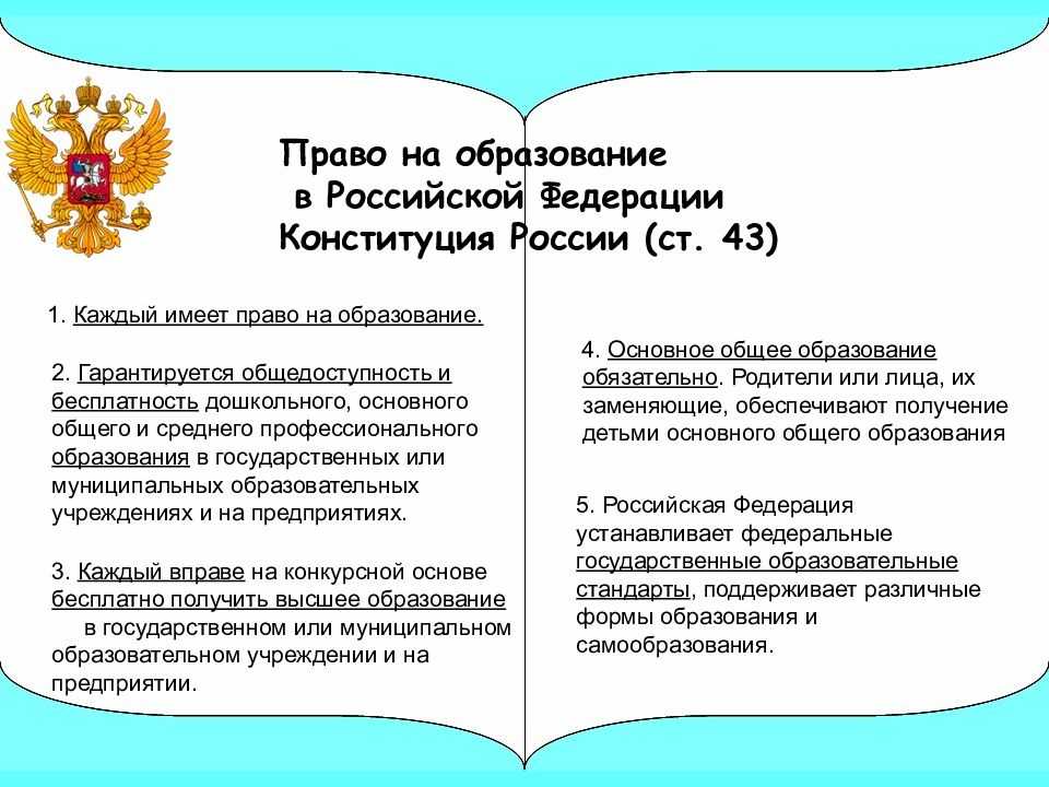 ​​права ребенка в школе: основные права и обязанности учеников