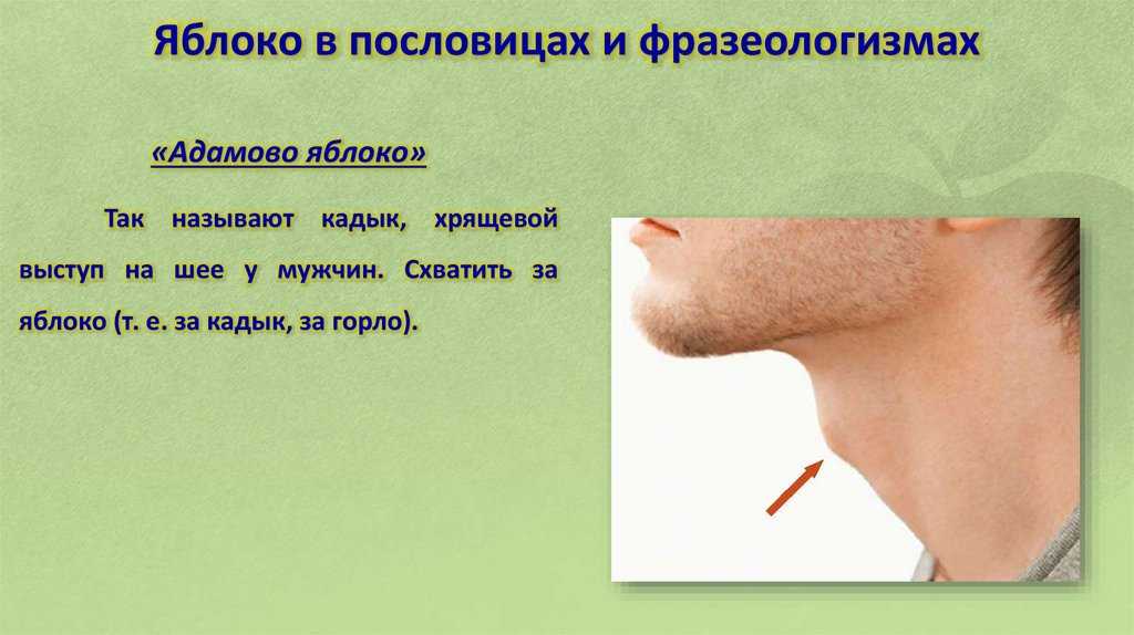 Является ли apple яблоком грехопадения? - историософия