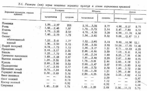 Сколько кг пшеницы в 1 кубическом метре?