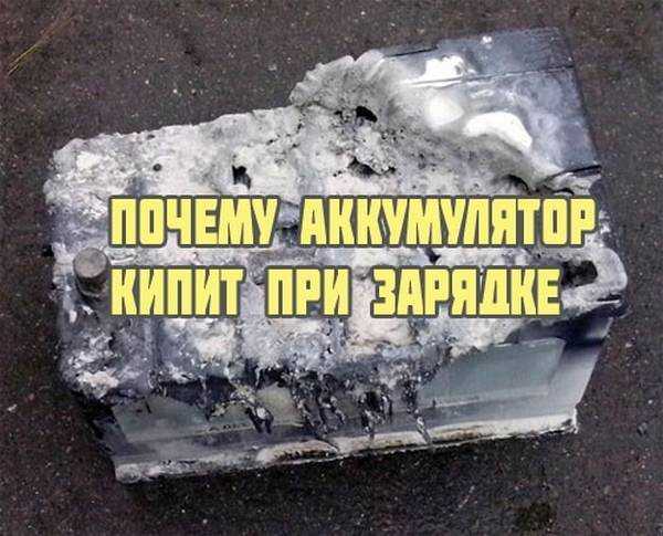 При зарядке аккумулятора одна банка не кипит (не заряжается). что делать? подробно с видео | автоблог