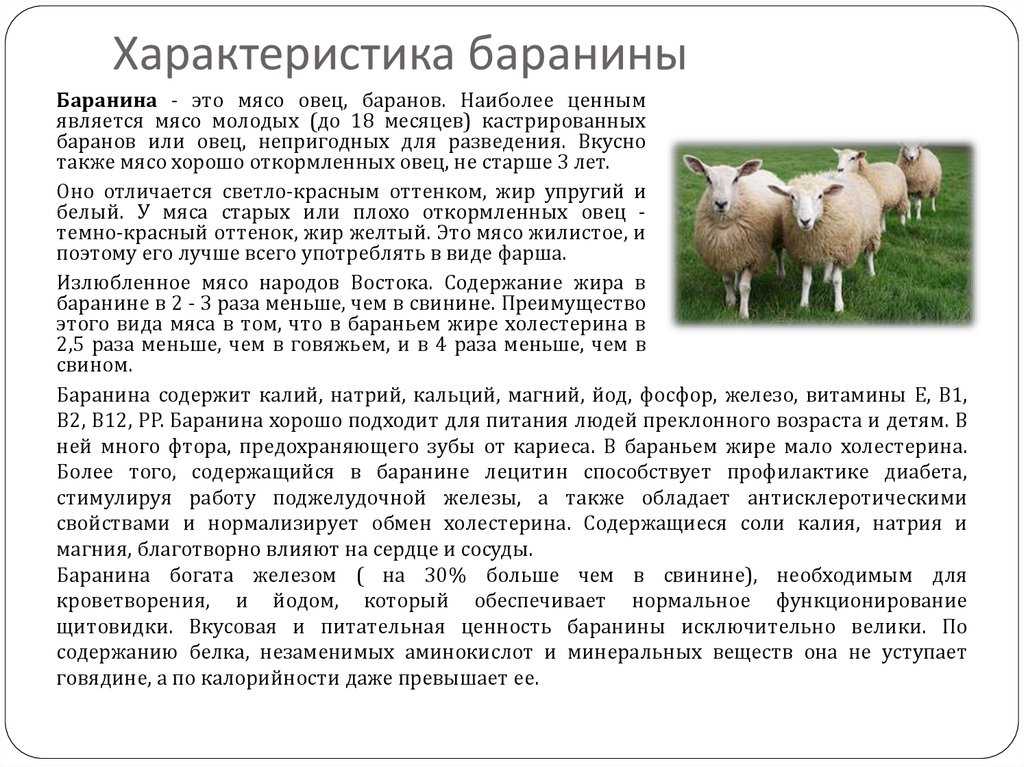 Что такое бараний вес смысл и почему он важен