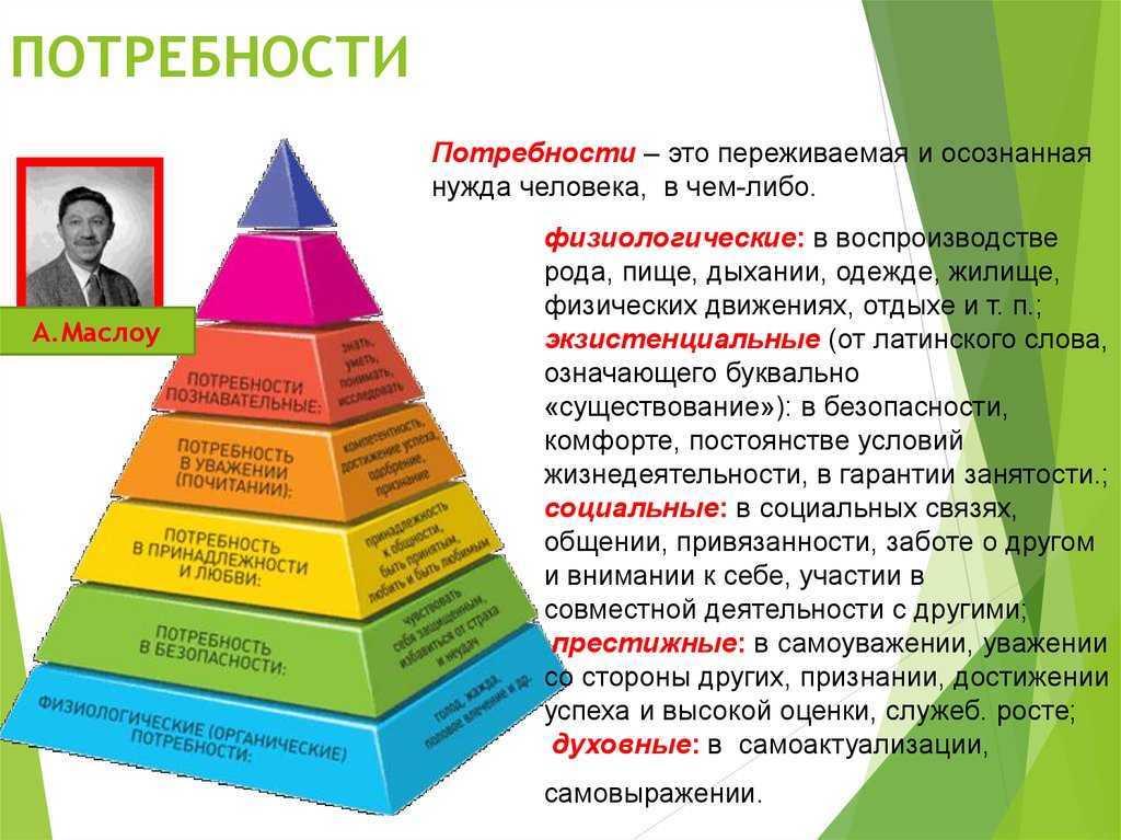 Идеальные потребности. стой, кто ведет? [биология поведения человека и других зверей]