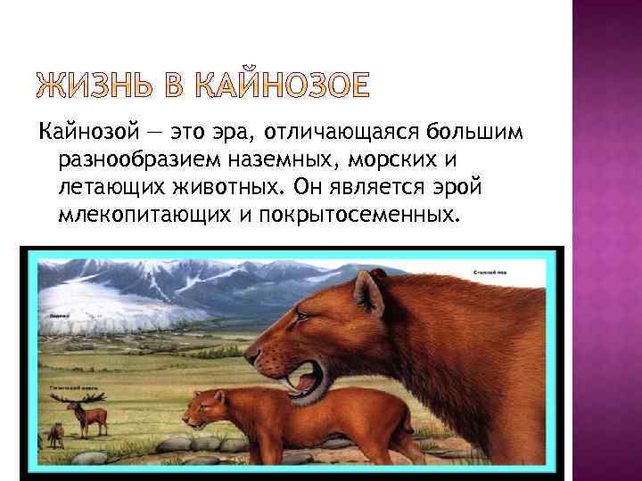 Эволюция кровеносной системы у животных, дыхательной системы, этапы кратко (7 класс, биология)