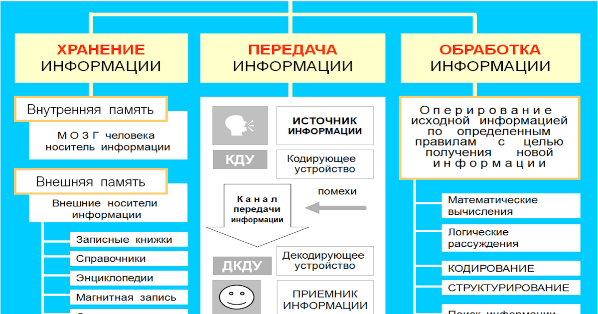 Хранение и передача информации (§§ 7, 8) | хранение информации (курс sim 34 ч.)