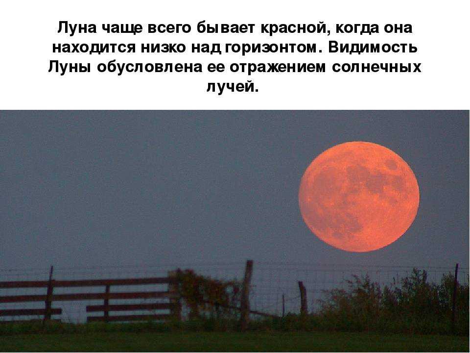 Почему луна такая яркая на ночном небе? тест великого светила