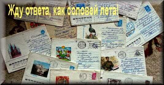Жду ответа как соловей лета: происхождение выражения