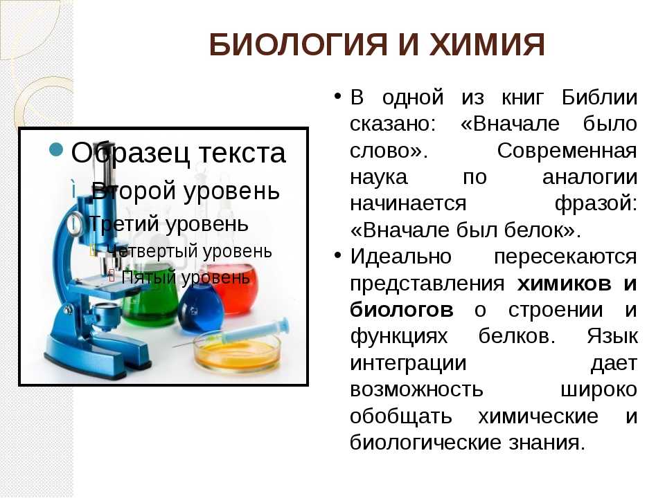 Строение вещества в школьном курсе физики, химии, биологии. - елена викторовна манышева