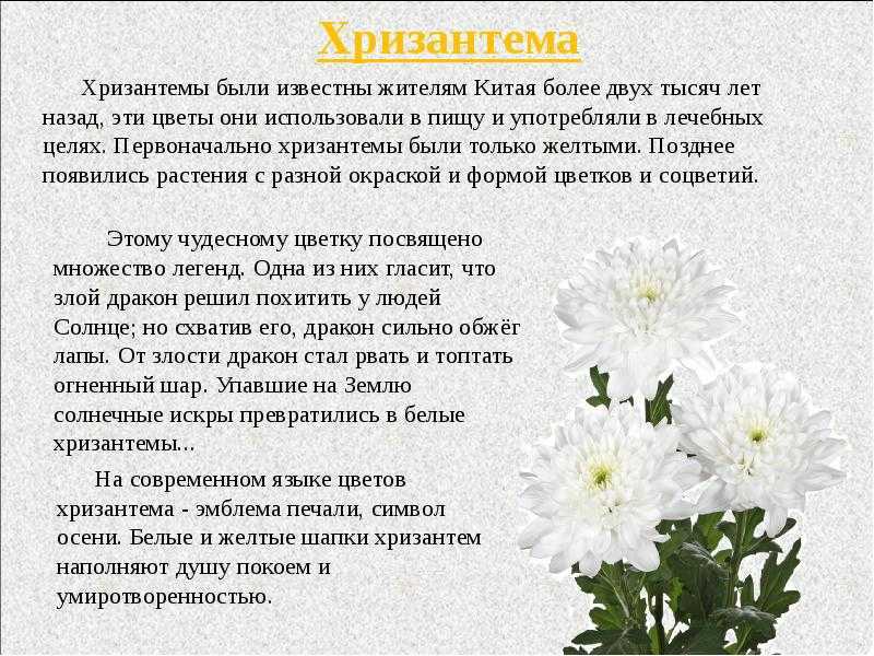 Система тактовой сетевой синхронизации