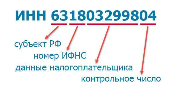 Что такое инн (индивидуальный номер налогоплательщика) - для чего нужен инн физическому лицу и как его получить | bankstoday