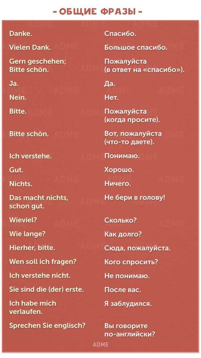 Испанский язык для начинающих. полезные фразы и выражения.