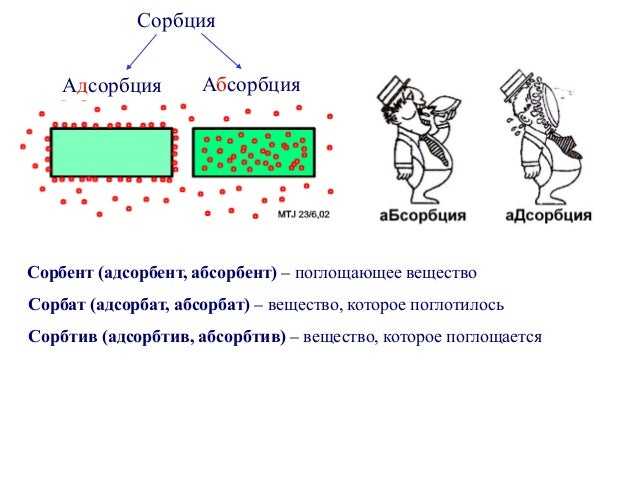 Почему происходит адсорбция и каков молекулярный механизм