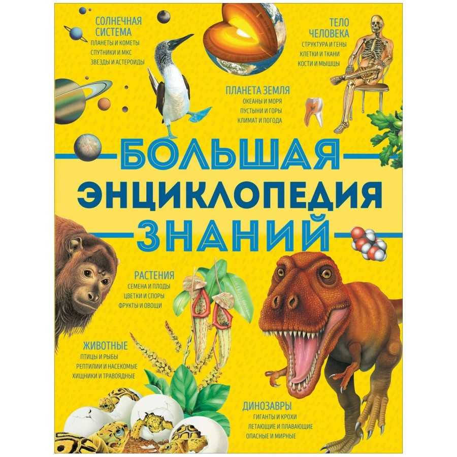 Правильный многогранник