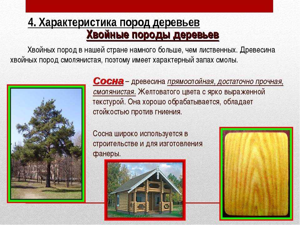 Сколько весит один сухого и влажного дерева, пригодного для строительства